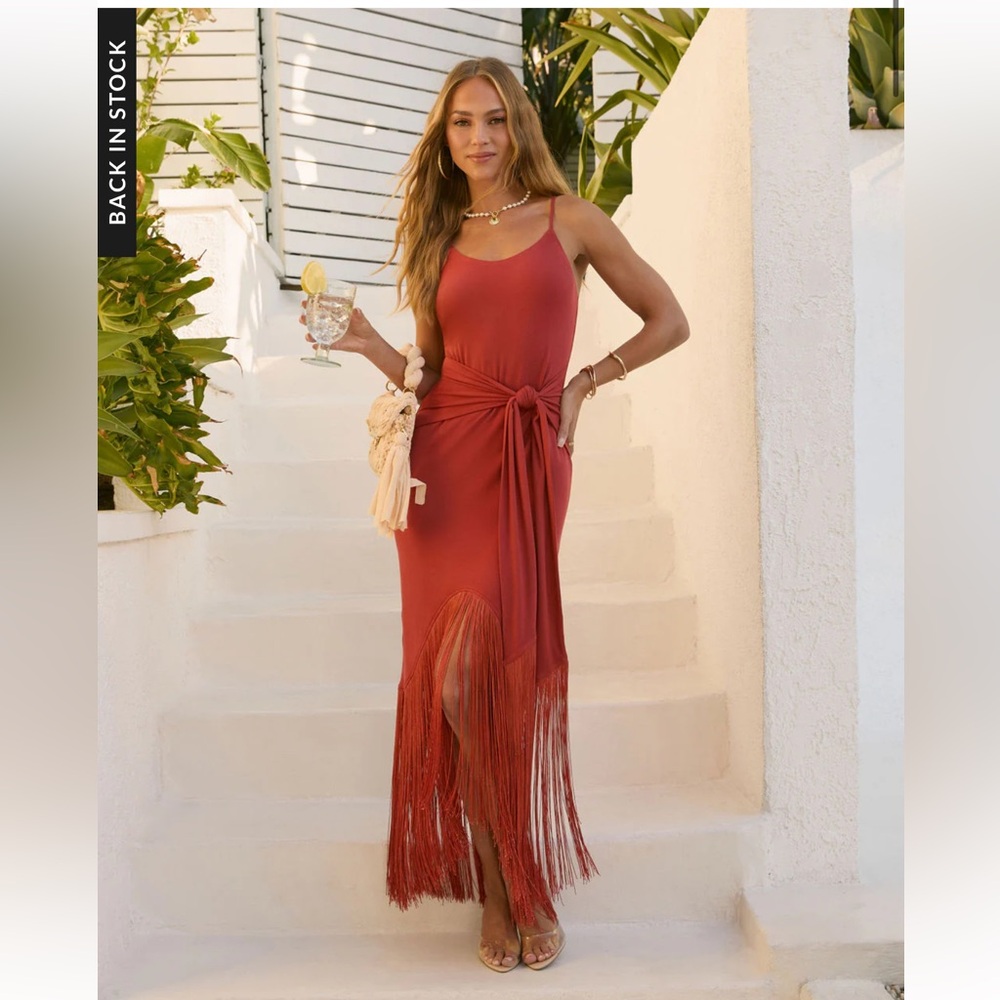 NWOT Vici Tie Front Fringe Dress